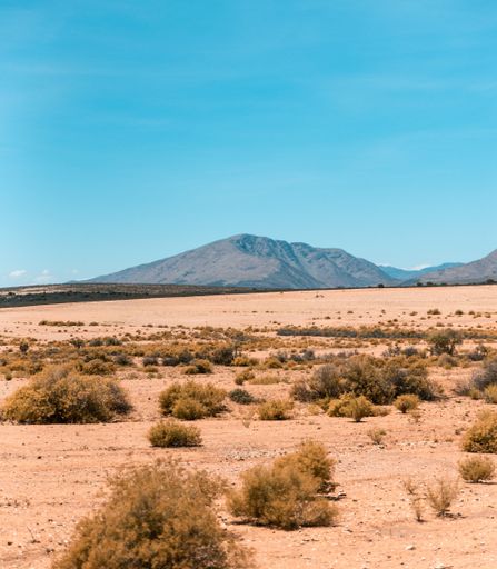 A scenic landscape featuring a dry valley and mountains under a blue sky in the Karoo, South Africa