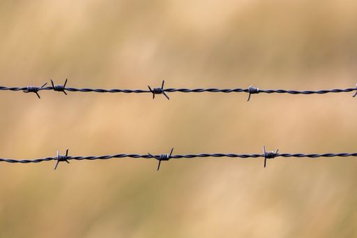 A closeup of a barbed wire fence