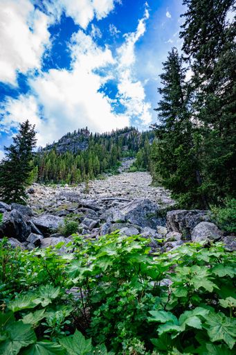 A scenic view of Jenny Lake in Grand Teton National Park, Wyoming in the summertime.