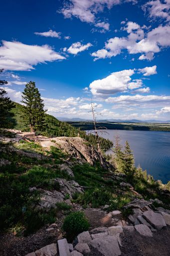 A scenic view of Jenny Lake in Grand Teton National Park, Wyoming in the summertime.
