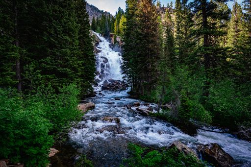 A scenic view of Jenny Lake in Grand Teton National Park, Wyoming in the summertime.
