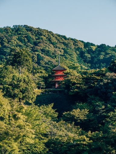 The Kiyomizu-dera temple surrounded by green trees in Kyoto, Japan