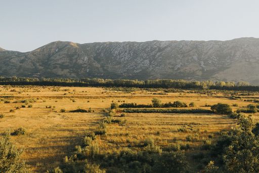Vast landscape with lush green grassy fields in the foreground and snow-capped mountain range in the background