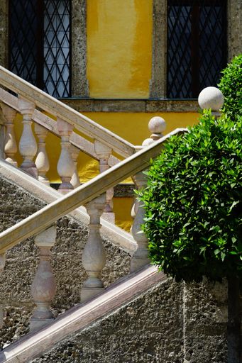 A vertical shot of a stairway outside the building with a green plant on the side