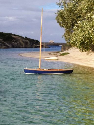 A vertical shot of a small yacht in a river with green trees on the bank on a sunny day