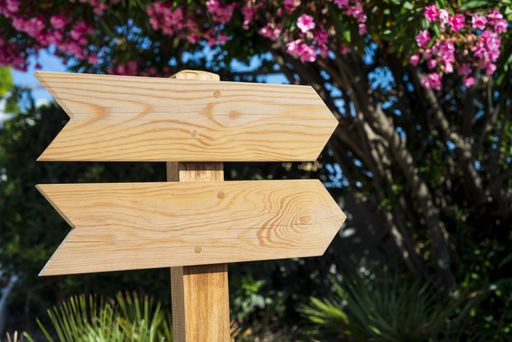 A closeup shot of a wooden sign in a park showing direction