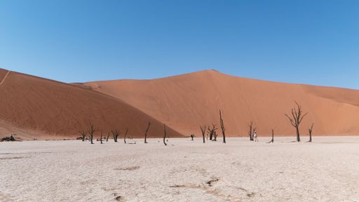 An aerial view of  Deadvlei in the Namib-Naukluft National Park in Namibia on a sunny day