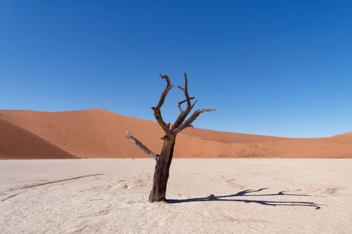 An aerial view of  Deadvlei in the Namib-Naukluft National Park in Namibia on a sunny day