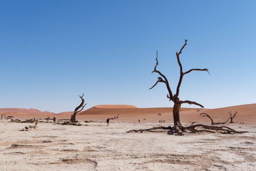 An aerial view of  Deadvlei in the Namib-Naukluft National Park in Namibia on a sunny day