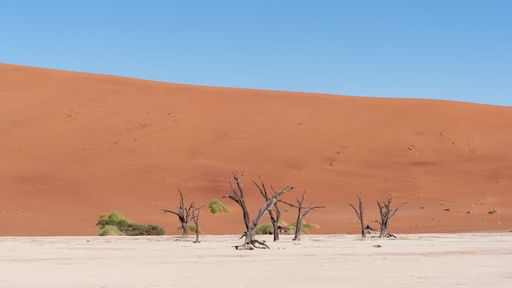 An aerial view of  Deadvlei in the Namib-Naukluft National Park in Namibia on a sunny day