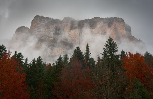 A beautiful autumn landscape with fir trees against a foggy mountain background in Odesa