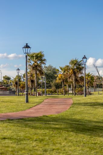 A narrow path lined with street lights and trees in the park