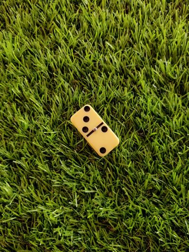 A top view of a domino piece on green grass in a lawn