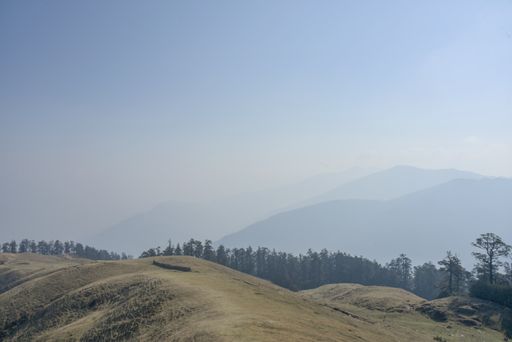 A beautiful landscape field with pine forest on a silhouette mountain background