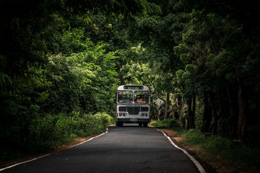 A tourist bus traveling down a lush forest road in Dambulla, Sri Lanka