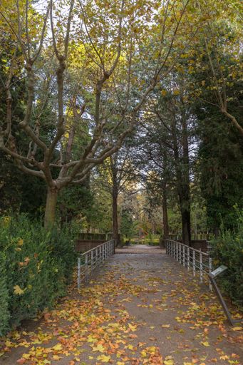 Park with a path that crosses a bridge full of yellow leaves fallen from the trees in the month of November.