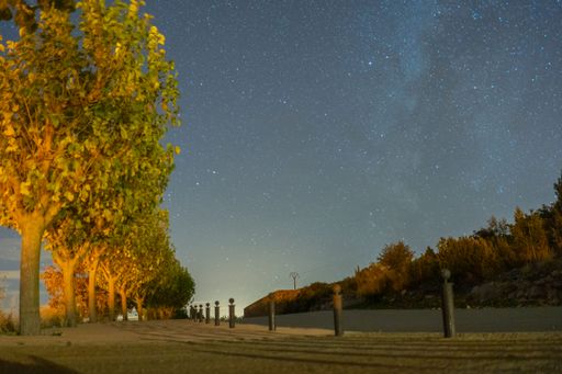 Image in which we can see the milky way some trees and a road at night from Alquezar, Huesca. Spain