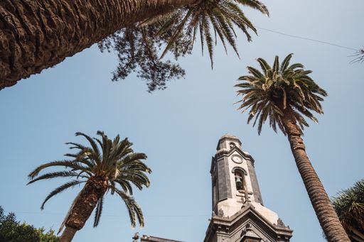 A low angle shot of the tower of the Church of Nuestra Senora de la Pena de Francia, Puerto de la Cruz, Spain, surrounded by palm trees in the church