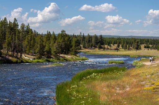 An idyllic scene of a river surrounded by trees and lush vegetation in a tranquil outdoor setting