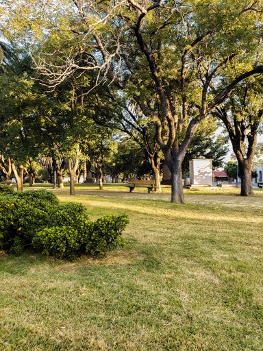 A vertical shot of a park with green trees and bushes on a sunny day