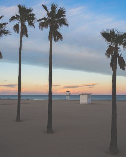 A vertical of a cabin and a watch tower on a sandy beach with palm trees at sunset
