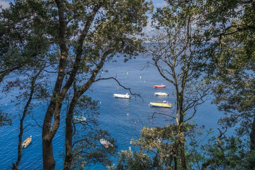 The boats in Liguria coastline on Tigullio promontory between Camogli and Portofino, Italy