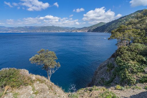 The Liguria coastline on Tigullio promontory between Camogli and Portofino, Italy
