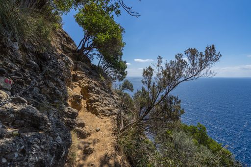 The Liguria coastline on Tigullio promontory between Camogli and Portofino, Italy