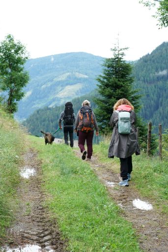 A vertical of three backpacked people walking with a German sheppard dog in the Austria alps
