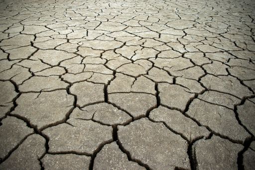 A closeup shot of cracked ground surface with jagged patterns and textural details visible.