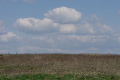 A landscape of a meadow covered in dried grass under the sunlight and a blue cloudy sk