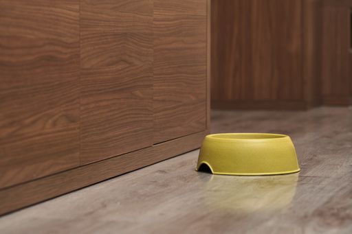 A closeup shot of a yellow dog plate on the floor inside