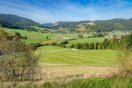 A panoramic shot of a village in a valley surrounded with trees on a beautiful summer day