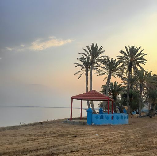 A scenic beach with palm trees and beach huts silhouetted against a beautiful sunset sky