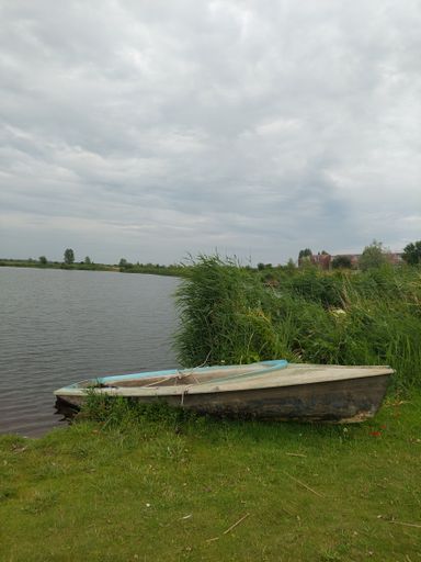 A vertical of an old boat moored at the green shore of a lake on a cloudy day