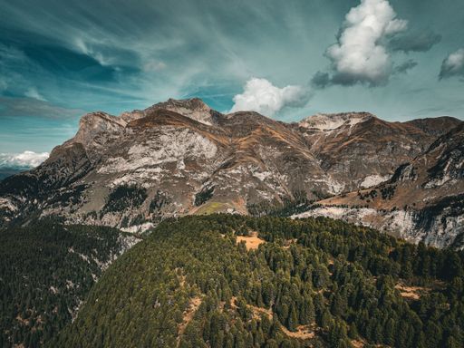 A tranquil view of the Swiss Alps in Avers, with autumn trees and grass in the valley