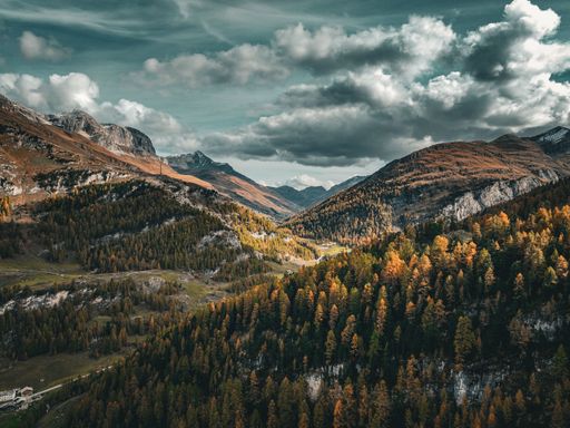 A tranquil view of the Swiss Alps in Avers, with autumn trees and grass in the valley