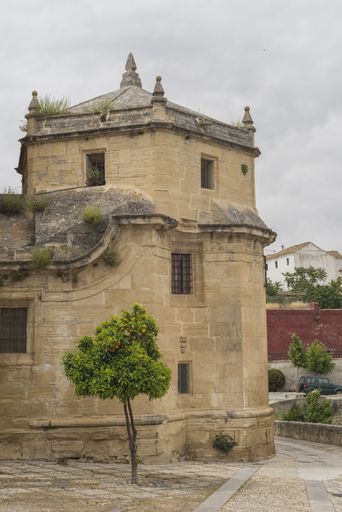 A vertical shot of the details of Alhama de Granada in Andalucia, Spain