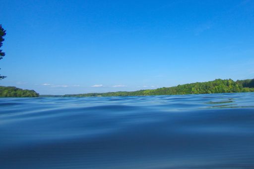 Aerial view of a tranquil Lake Townsend surrounded by lush greenery on a sunny day