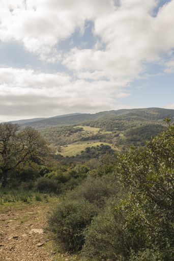 A vertical shot of hills covered in greenery under a cloudy sky in Los Alcornocales Natural Park, Spain