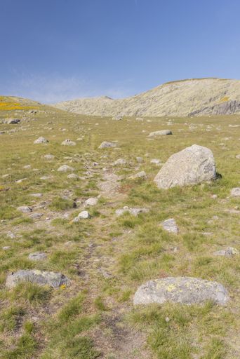 The vertical shot of large stones lying in a deserted field