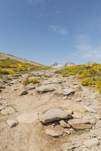 A vertical shot of the rocky fields captured in the Regional of Gredos, Spain