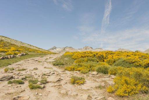 A beautiful landscape of rocks on a meadow in Gredos Park in Spain under a cloudy sky