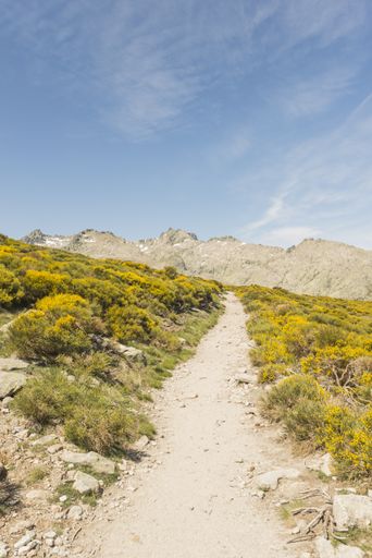 A vertical shot of deserted road to the mountains, Spain