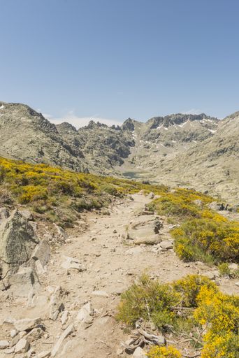 A vertical shot of a path leads to the mountain against a blue sky background Gredos, Spain