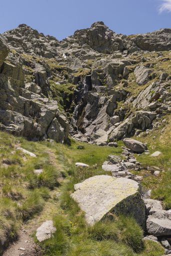 A vertical shot of nature in Gredos, Spain during daylight