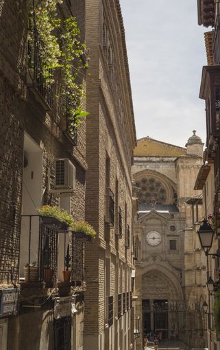 a vertical shot of buildings with balcony plants and a clock in Toledo Spain
