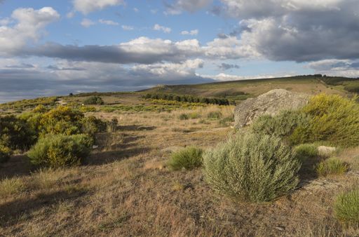 a beautiful landscape with rocks and bushes under the clouds in Sierra de Gredos Regional Park, Spain