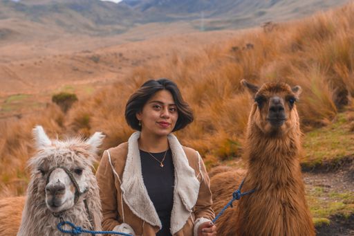 A young female with cute lamas in the mountains