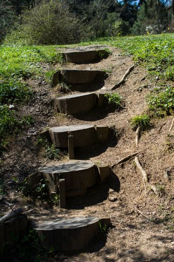 A vertical shot of small round wooden stairs